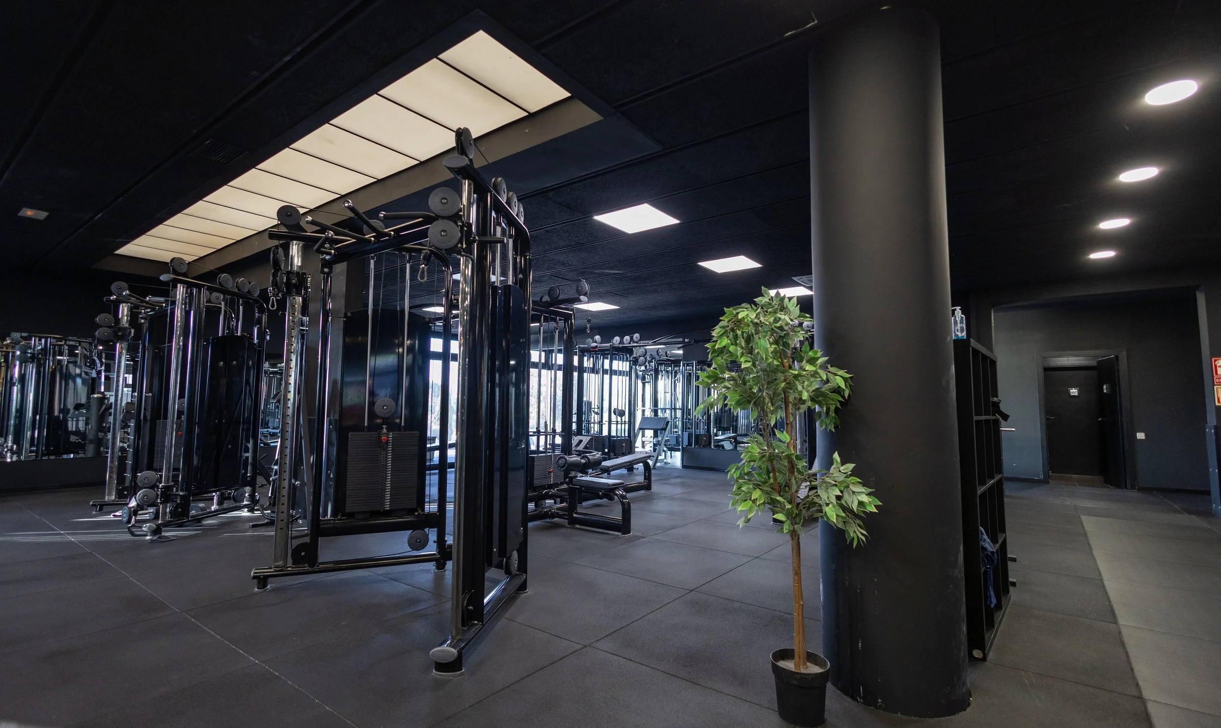 Interior de un gimnasio con equipo de pesas, máquinas de ejercicio y una planta decorativa.