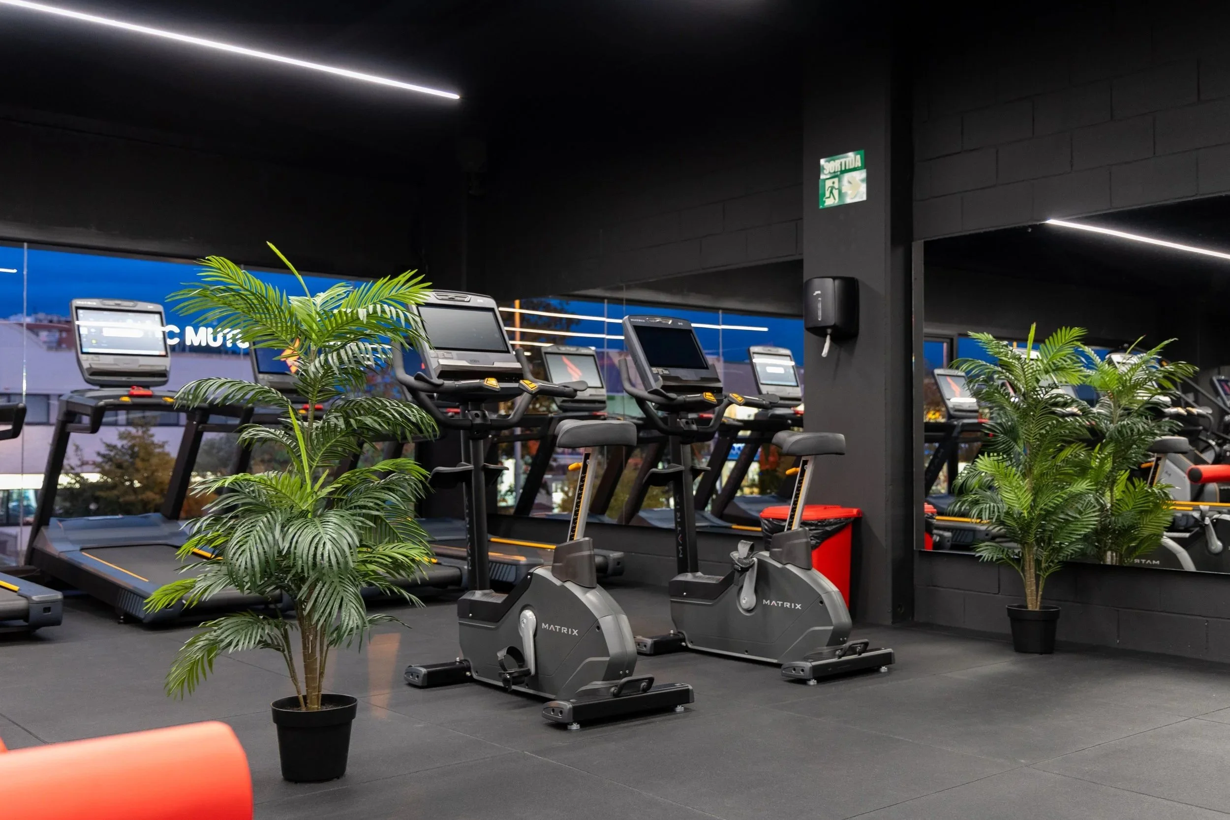 Sala de gimnasio con cintas de correr y bicicletas estáticas, decorada con plantas en macetas negras.