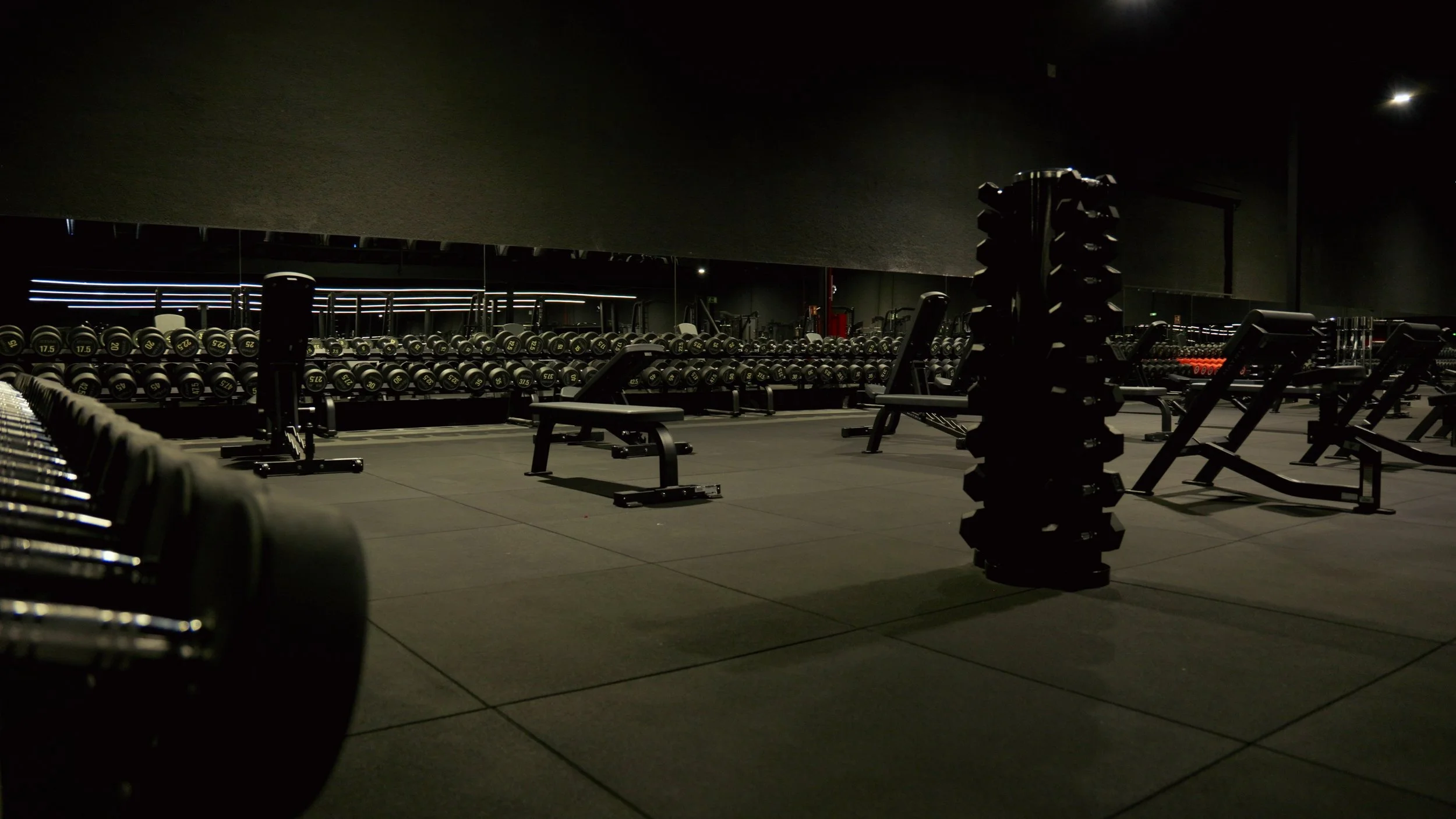 Sala de gimnasio con pesas y máquinas de ejercicio en un ambiente oscuro.