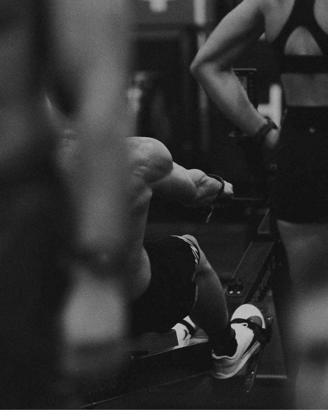 d87950bae585730246d5ab948af4bcc9.jpg (copia)