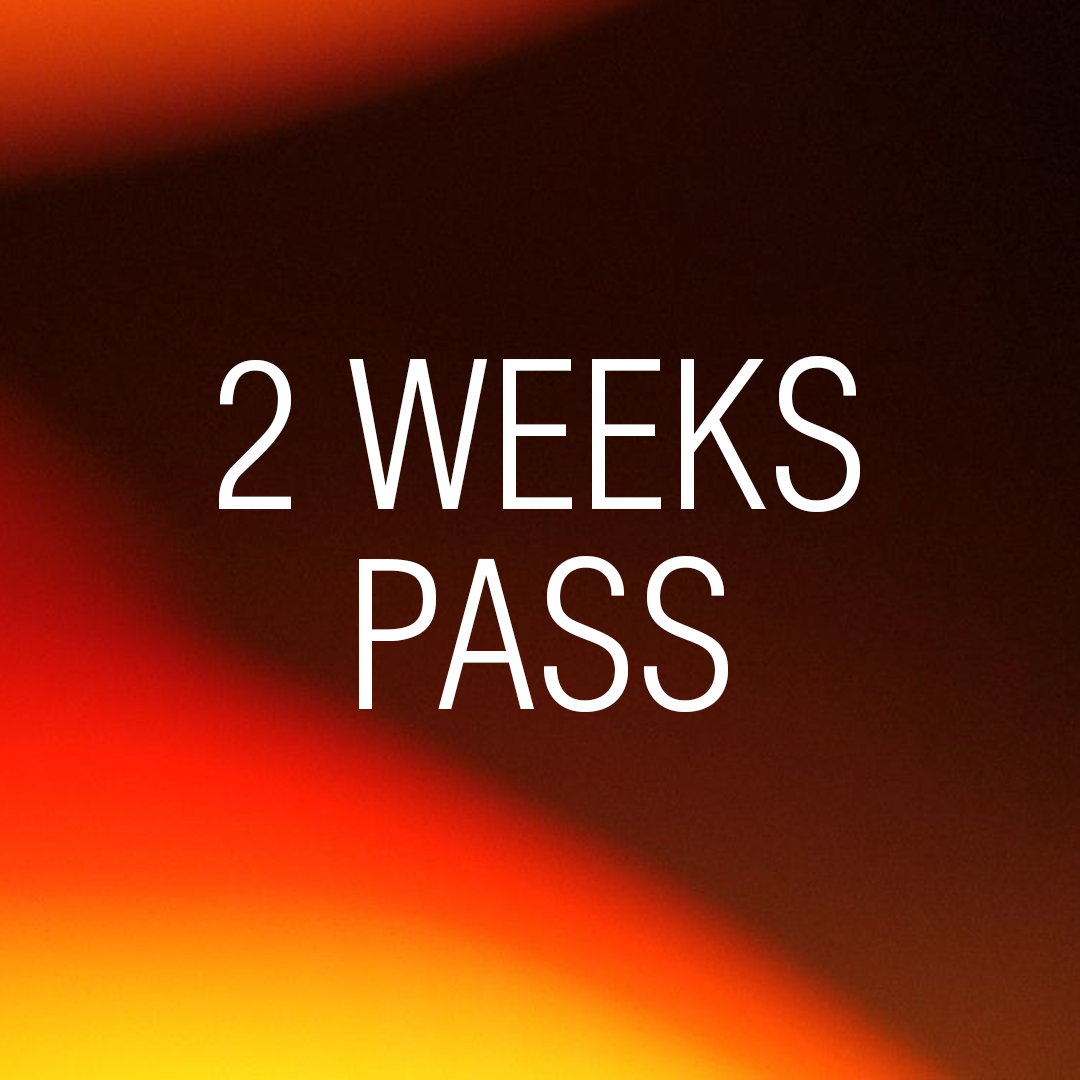 2 WEEKS PASS