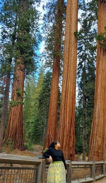 A woman in a black top and yellow skirt standing by a wooden fence in a forest with tall redwood trees and green foliage.