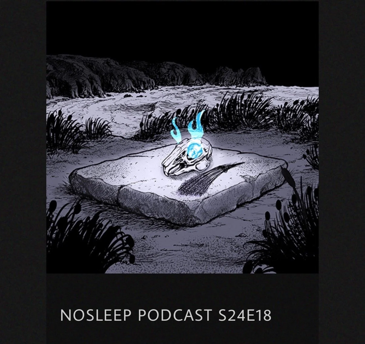 The NoSleep Podcast - "Silo"