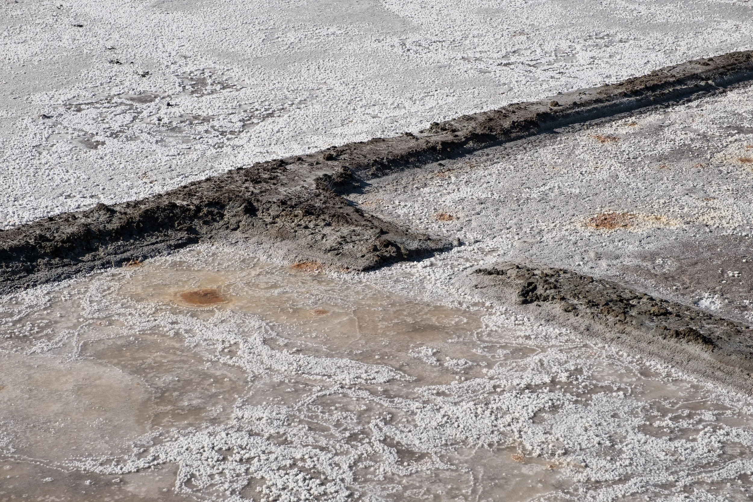 Sol argileux avec des dépôts salins blancs et une ligne de délimitation entre la surface salée et la zone avec de la boue.