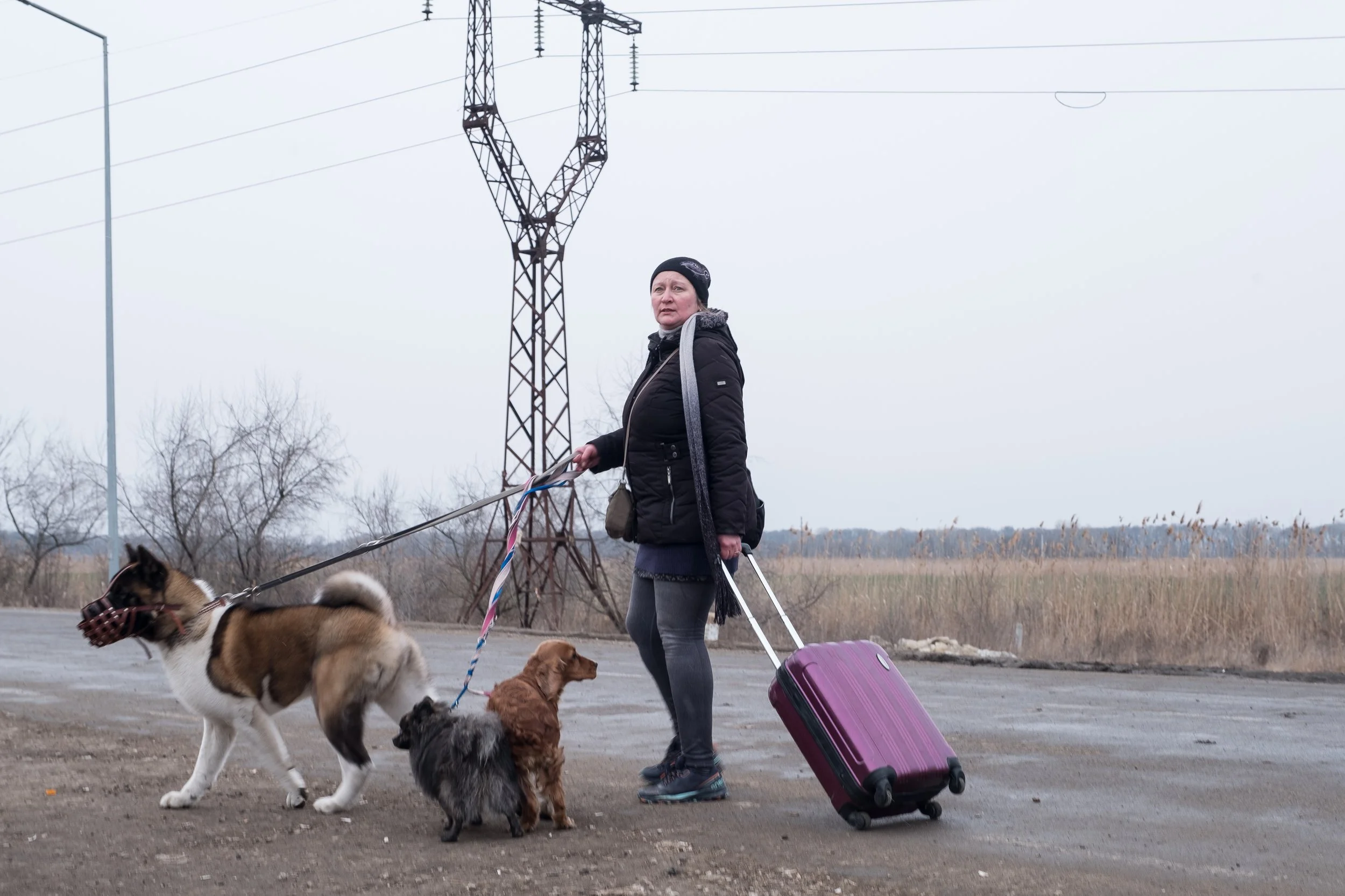 Une réfugiée ukrainienne avec des chiens et une valise roulant sur un chemin en plein air avec un fond de terrain vague et des pylônes électriques.