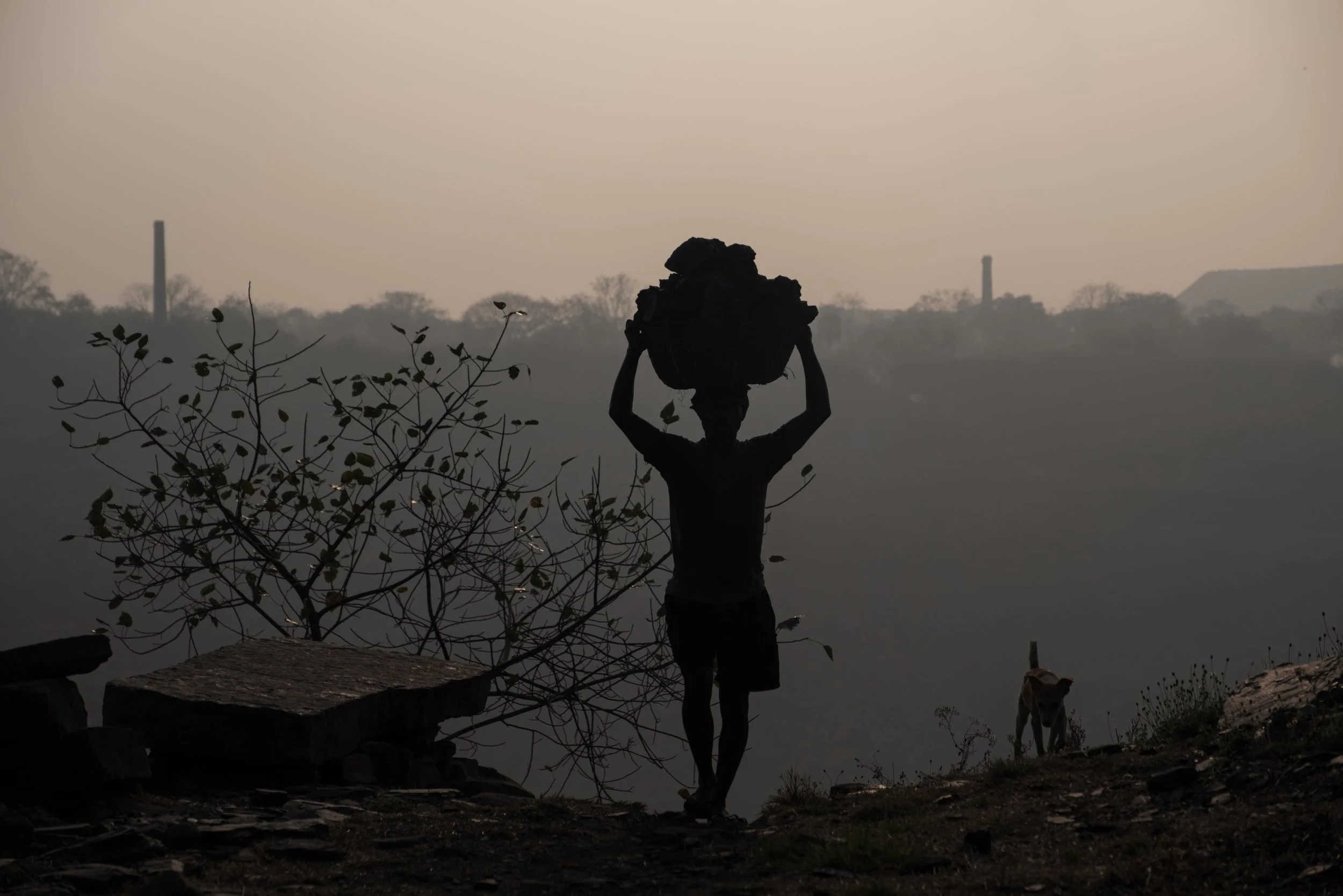Silhouette d'un homme portant un gros panier de charbon sur la tête, marche à l'extérieur avec un chien en arrière-plan.