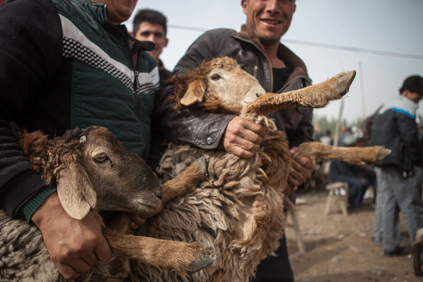 Gens tenant des moutons et des chèvres lors d'un marché aux bestiaux en plein air.