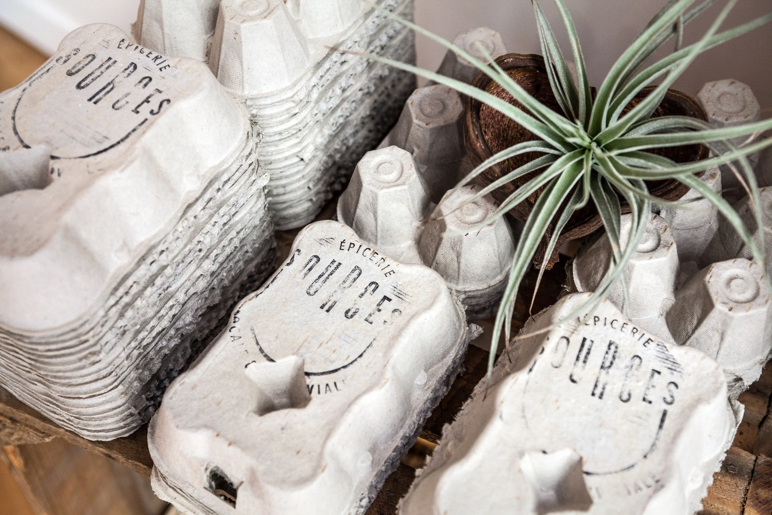 Cinq boîtes à œufs en carton blanc avec l'inscription 'Sources' empilées à côté d'une plante grasse dans un pot en bois.