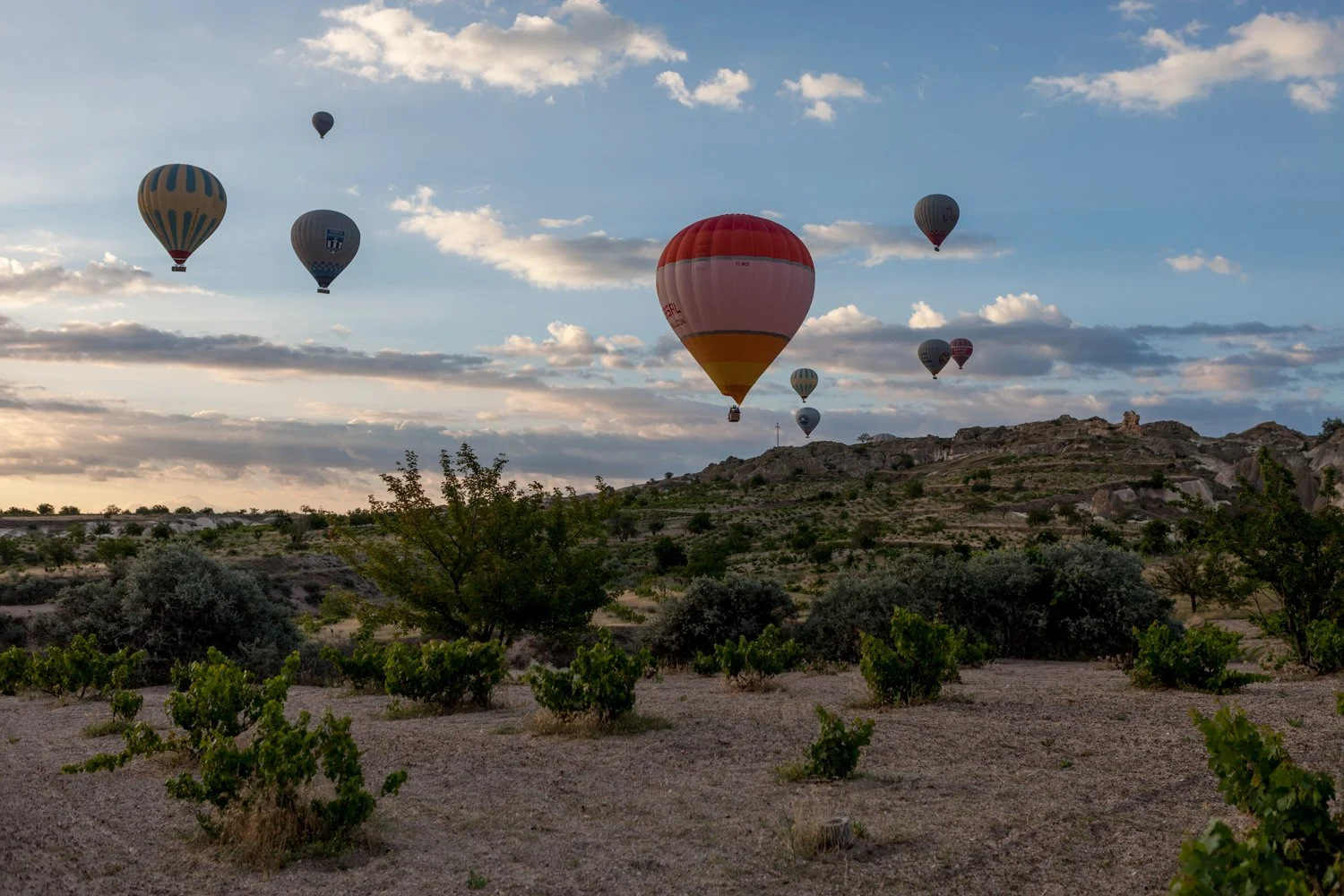 Montgolfières colorées flottant dans un ciel nuageux au-dessus d'une zone rocheuse avec des vignes.