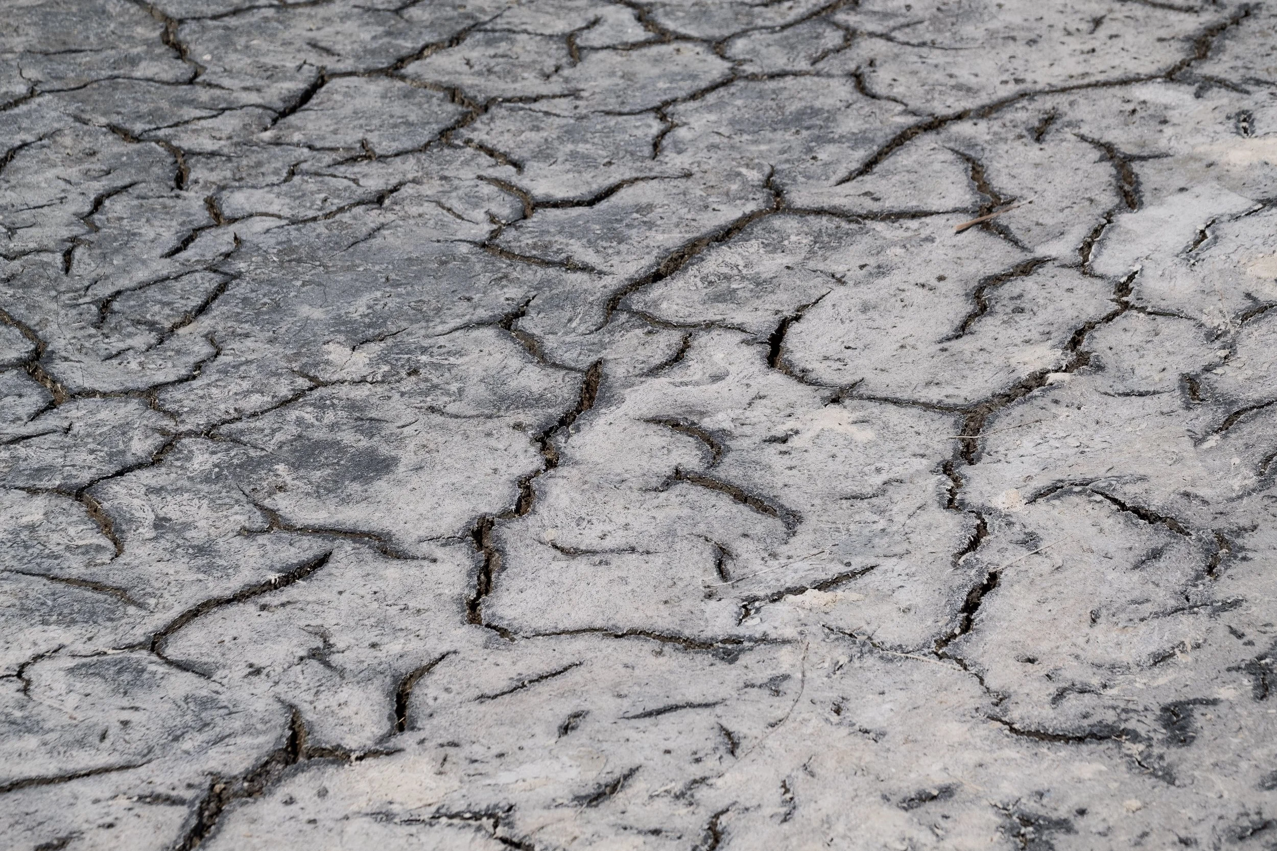 Sol aride et salé craquelé avec des fissures profondes.