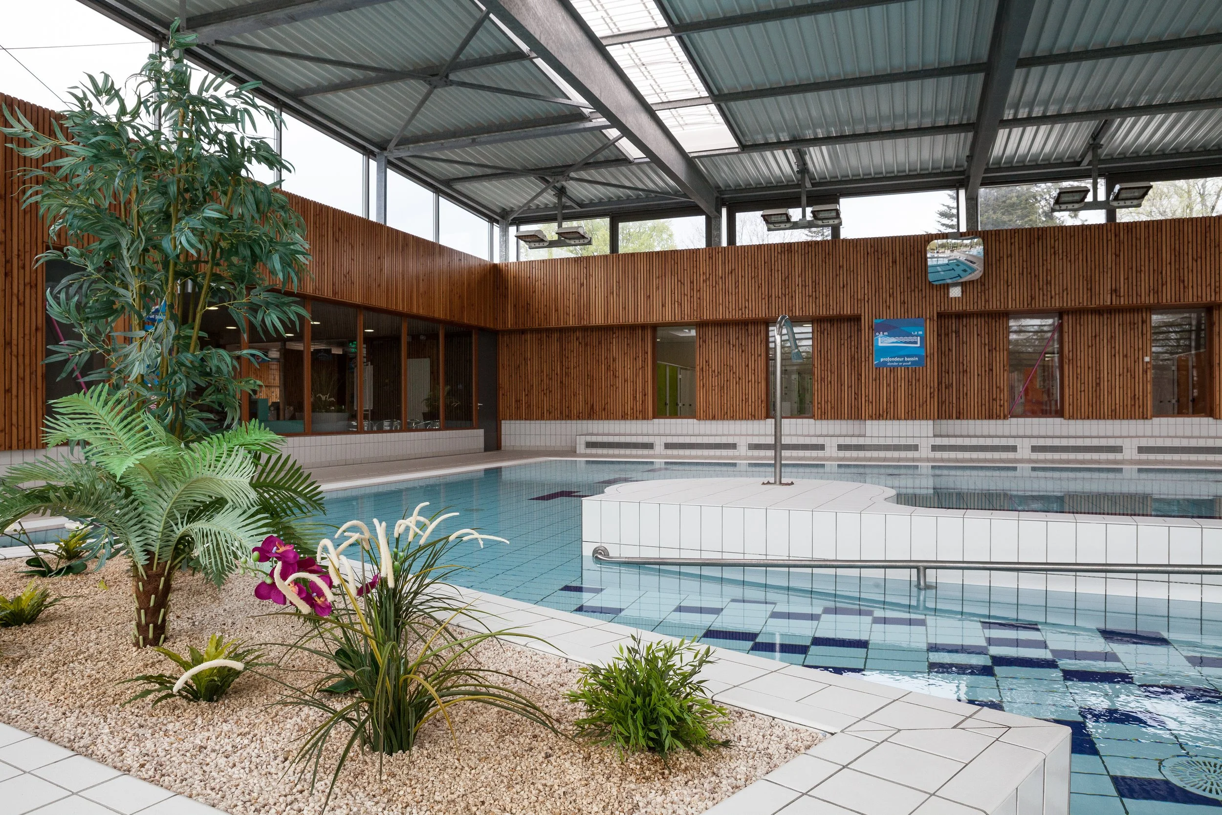 Piscine intérieure avec plantes et espace détente, entourée de murs en bois et un plafond en verre.