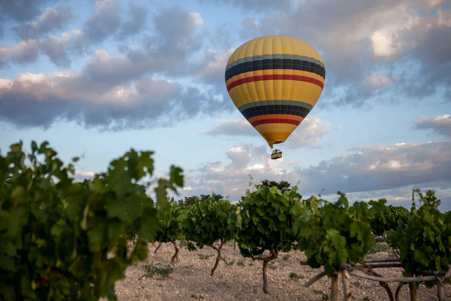 Montgolfière colorée flottant dans le ciel au-dessus d'un vignoble en Cappadoce, Turquie.
