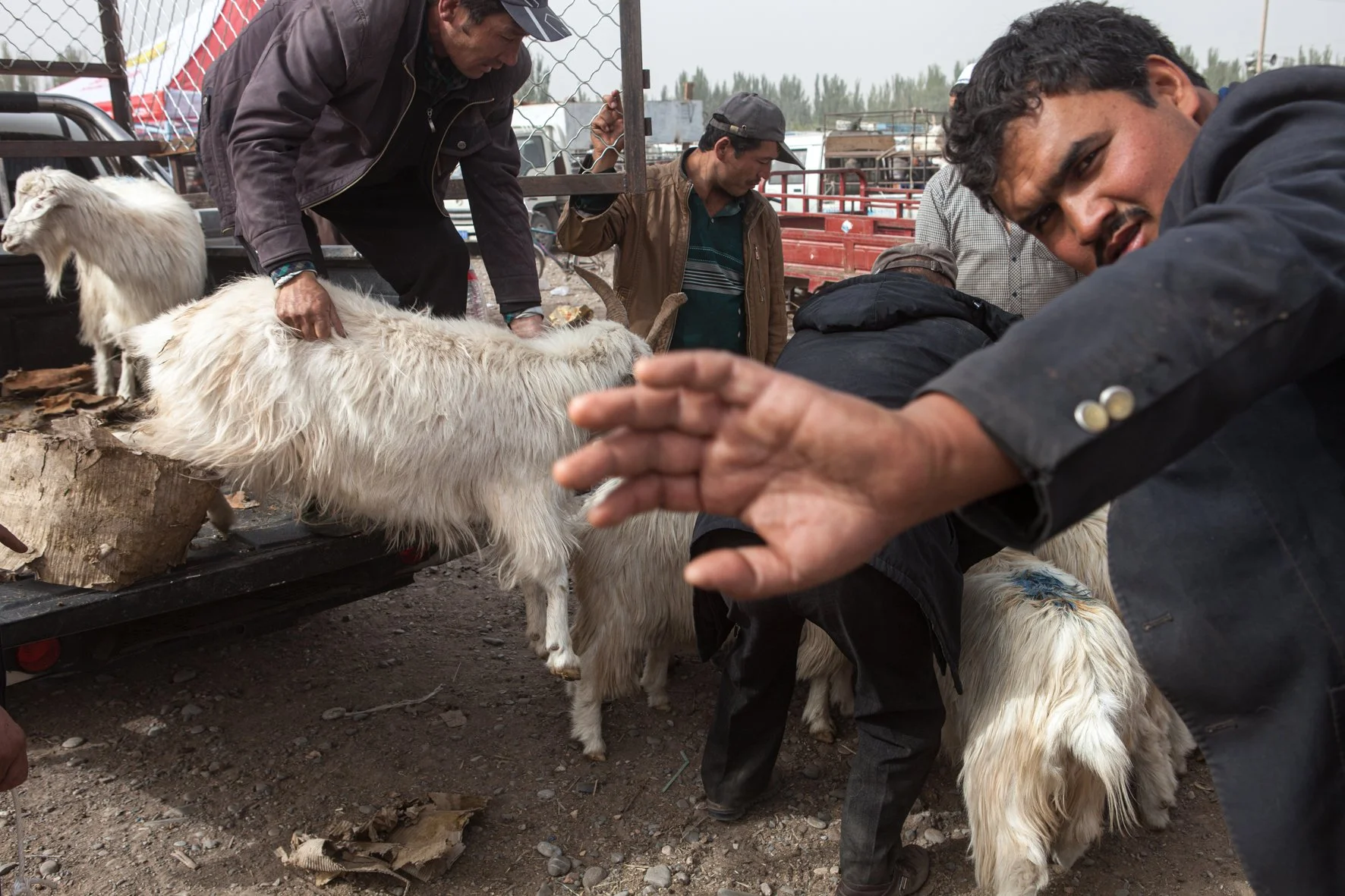 Groupe de personnes vendant et manipulant des chèvres dans le marché en plein air de Kashgar, en Chine.