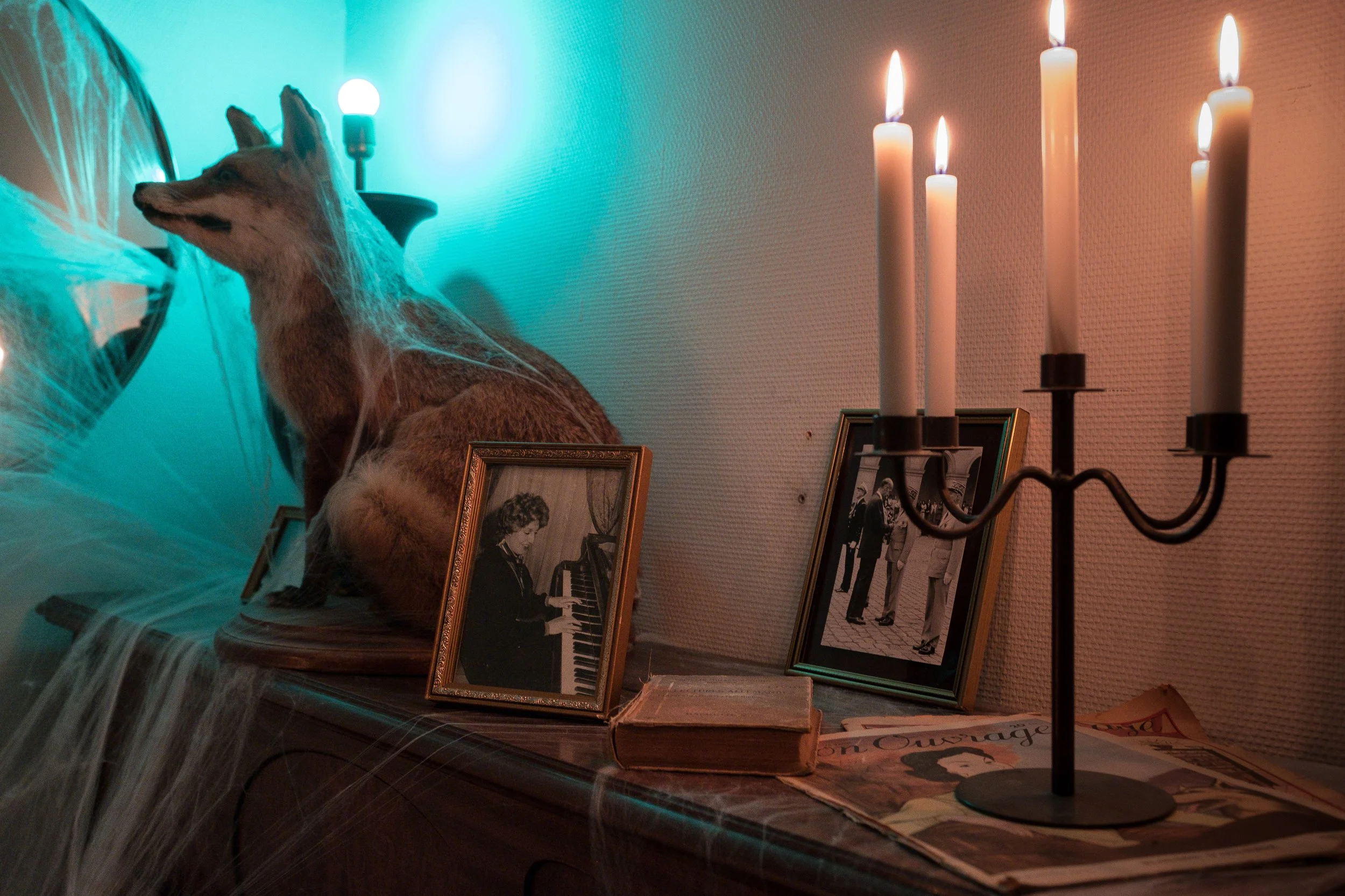 Une étagère décorative avec une photo encadrée d'une femme jouant du piano, un livre ancien, une fausse tête de renard, une boite à led, un chandelier avec des bougies allumées, et des magazines. Décor avec éclairage tamisé et ambiance nostalgique.
