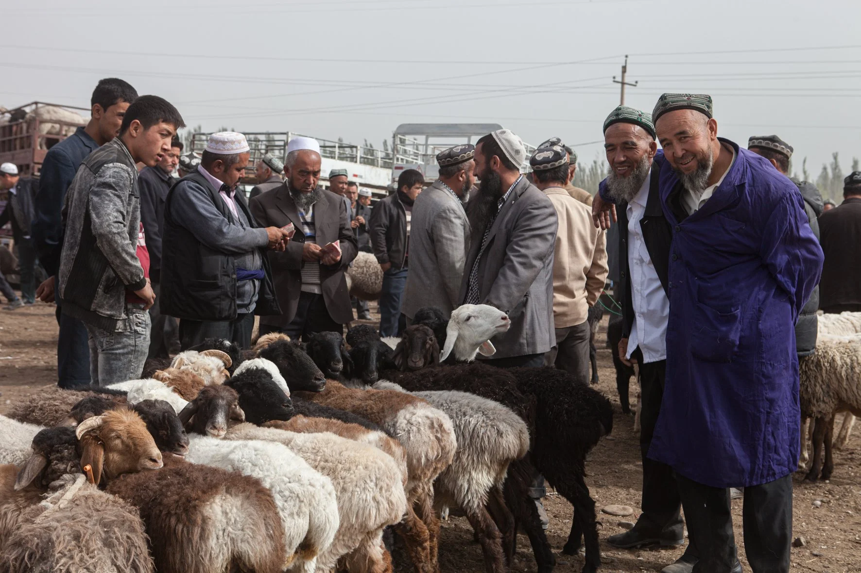 Personnes négociant sur un marché de moutons, les hommes discutent autour des animaux.