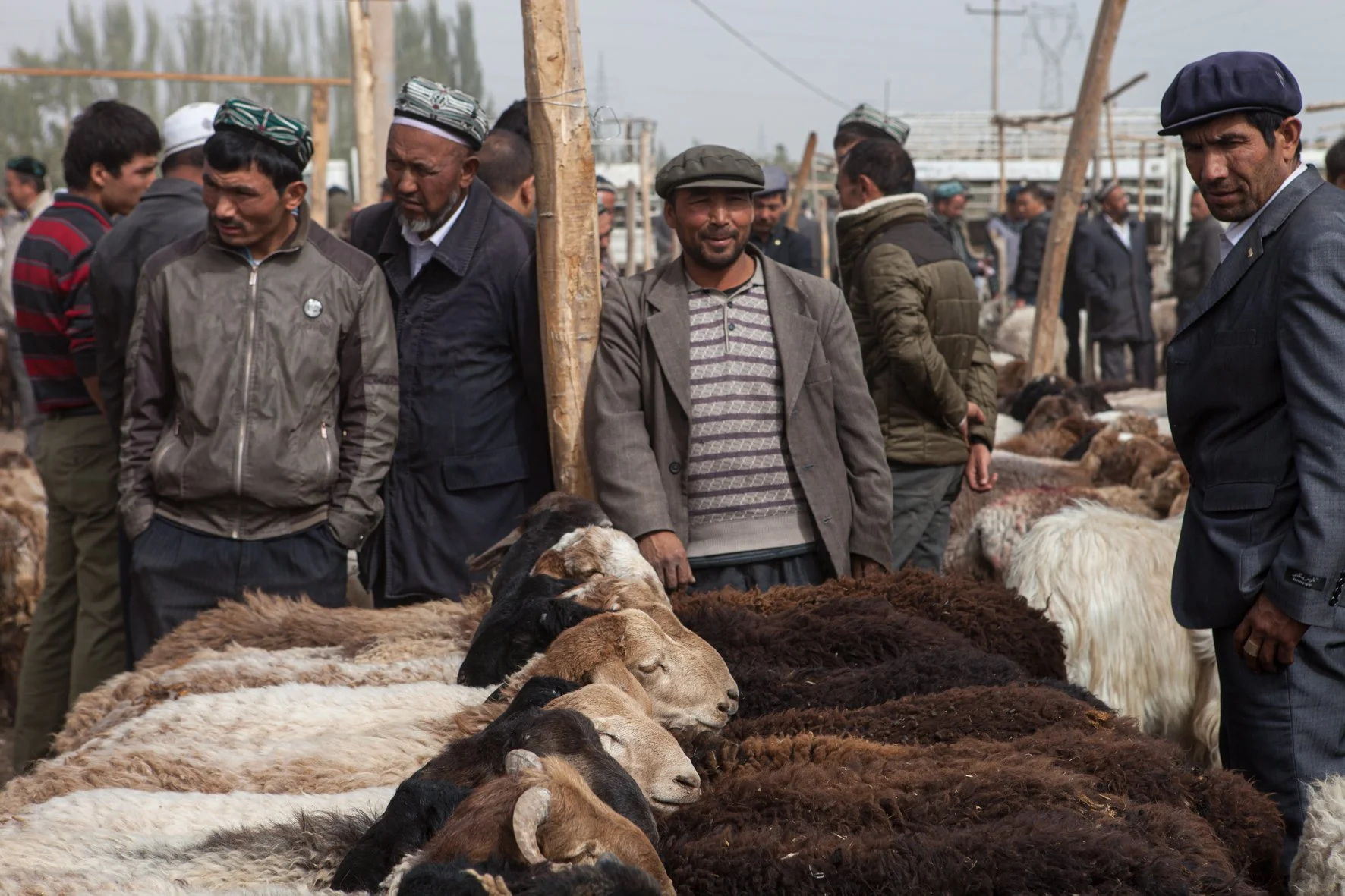 Gens sur un marché en plein air vendant des moutons et des chèvres, certains en costumes traditionnels.