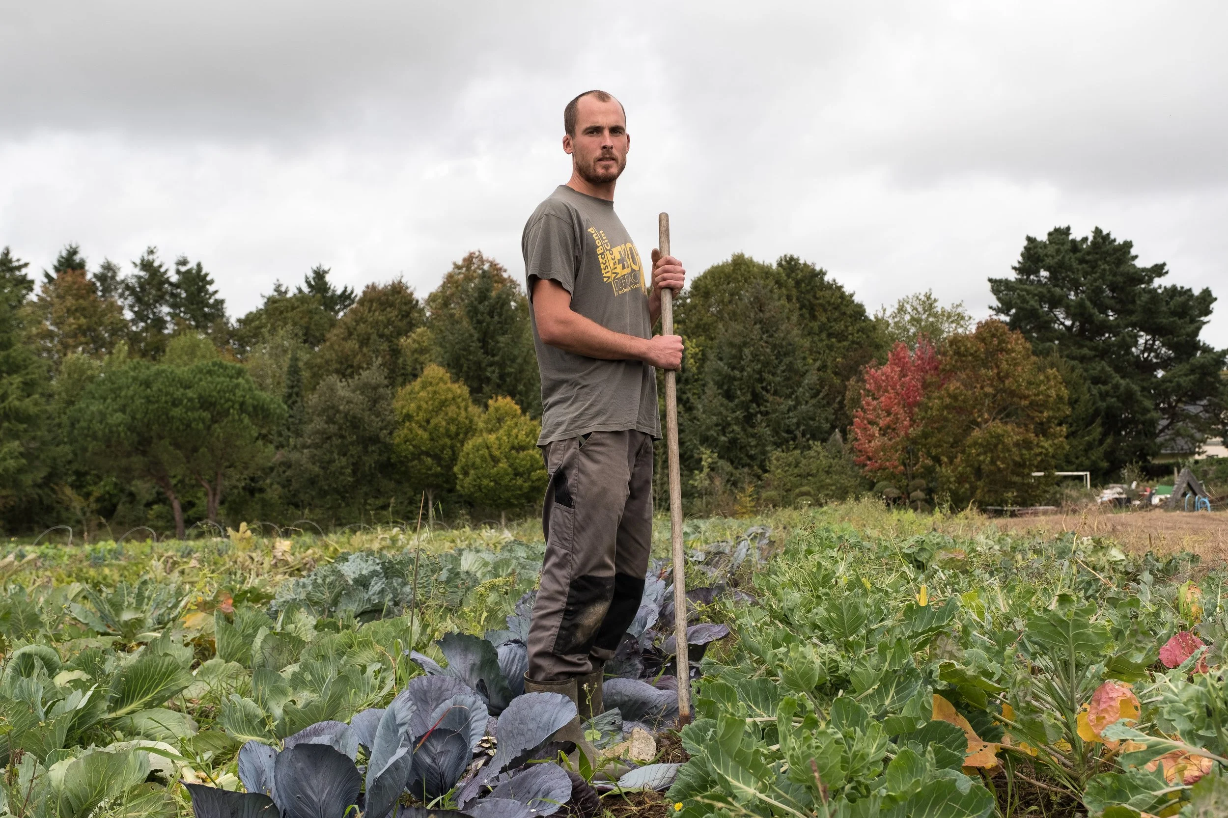 Jeune homme dans un champ de légumes, tenant une bêche, avec un paysage d'arbres en arrière-plan et un ciel nuageux.