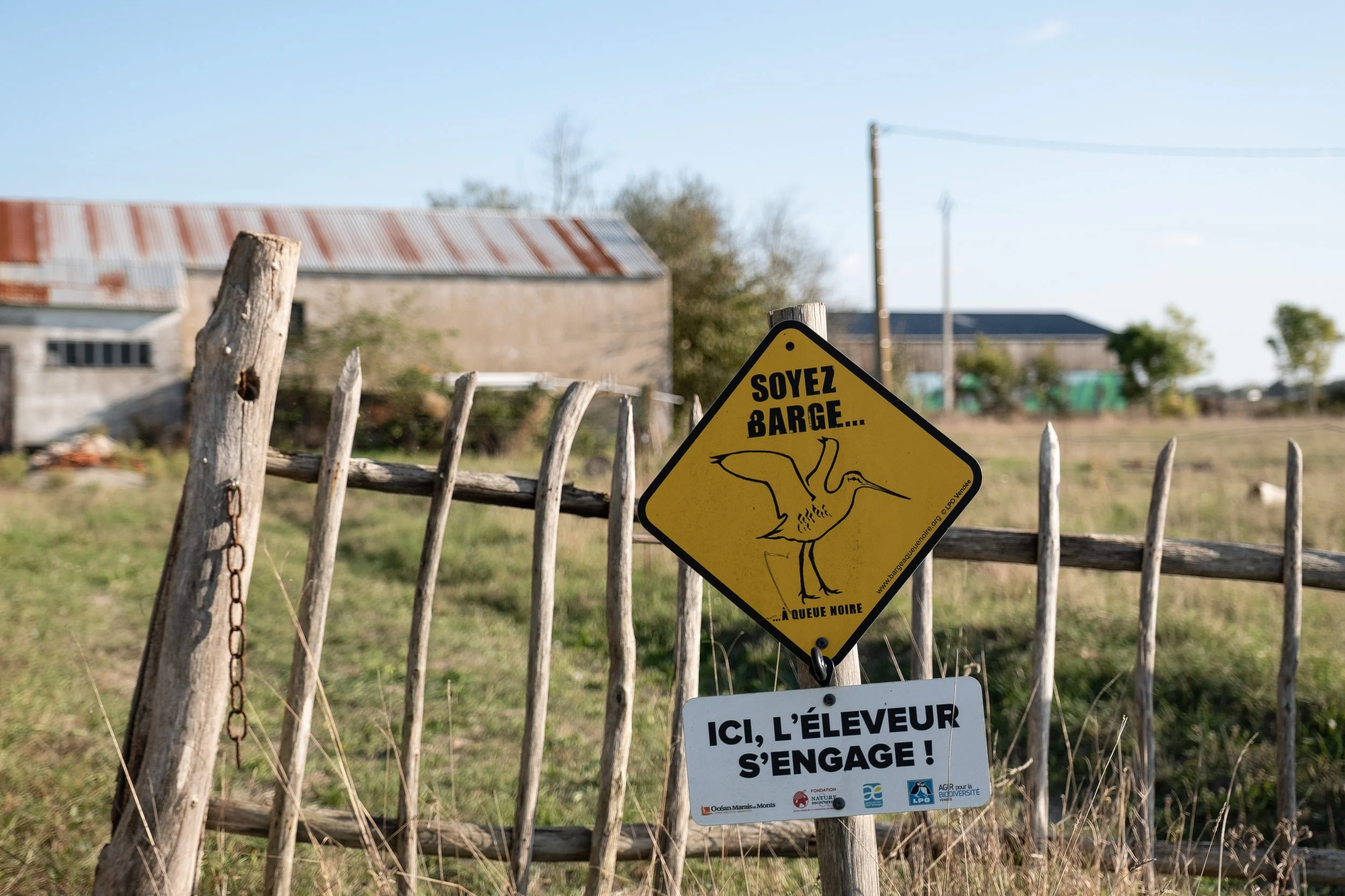 Une clôture en bois avec deux panneaux d'avertissement, un jaune avec un dessin d'oie et le texte "Soyez barge... à queue noire" et un blanc disant "Ici, l'éleveur s'engage", dans un environnement rural avec un vieux bâtiment en arrière-plan.