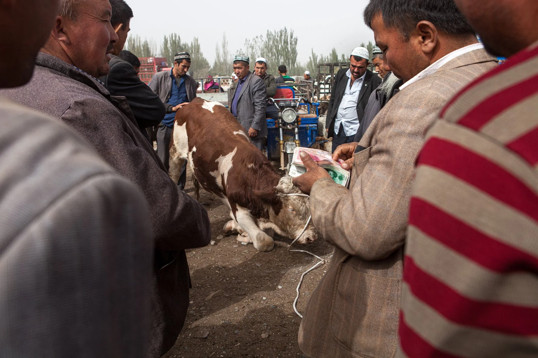 Groupe de personnes autour d'une vache dans un marché, qui échange de l'argent, portant des vêtements traditionnels et un quad en arrière-plan.