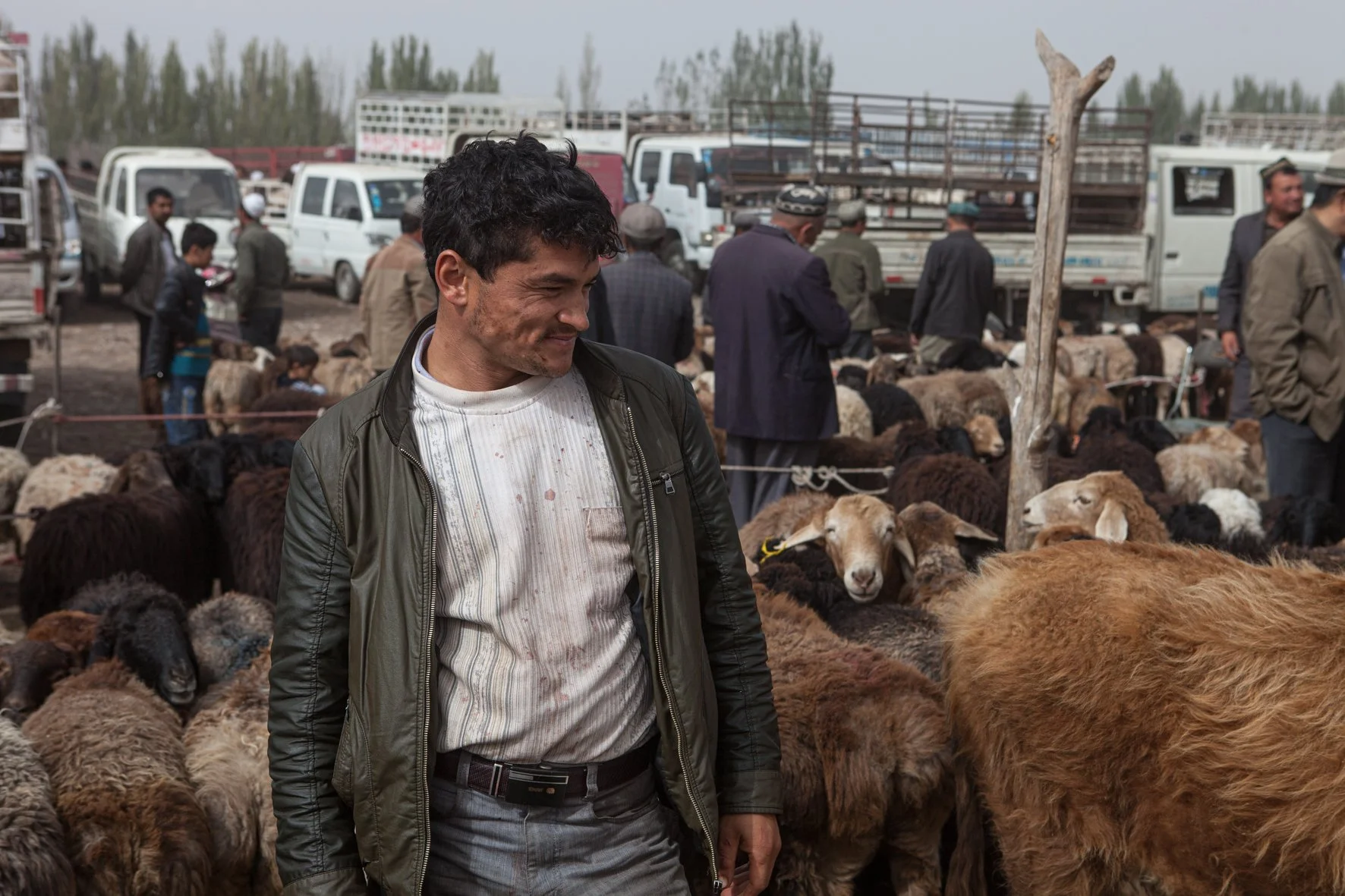 Un homme se trouve dans un marché de moutons avec plusieurs personnes et des voitures en arrière-plan.