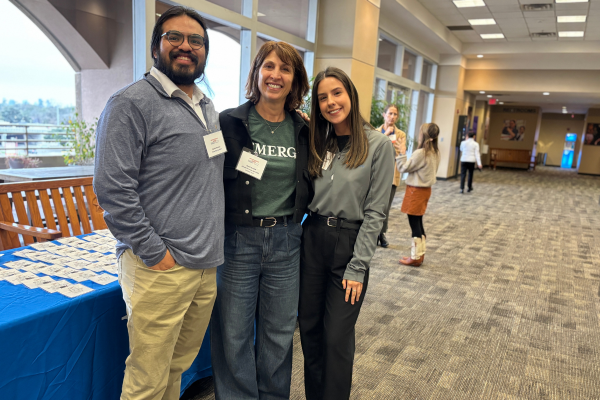 CareerSpring -  Emerge.png