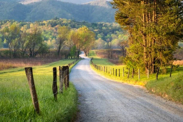 10 Free Things to Do in Gatlinburg (That Locals Actually Recommend)