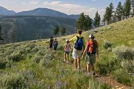 Best Gatlinburg Cabins for Families: The Ultimate Guide to Planning Your Perfect Mountain Vacation with Kids 