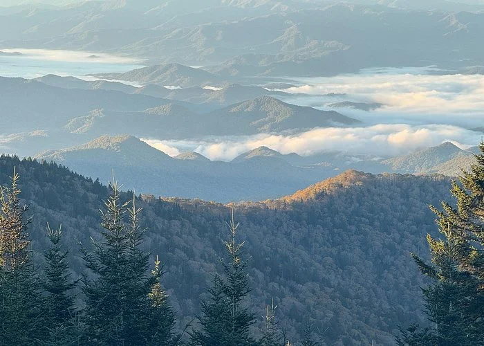 The Ultimate Gatlinburg Vacation Guide: Where to Stay, What to Do, and Where to Eat in 2026