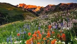 Your Complete Spring 2026 Smoky Mountains Events Guide