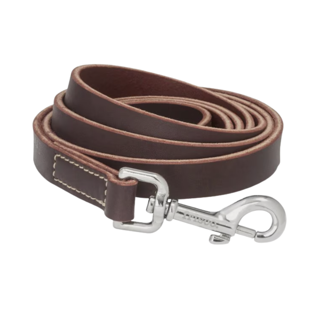 leash.png