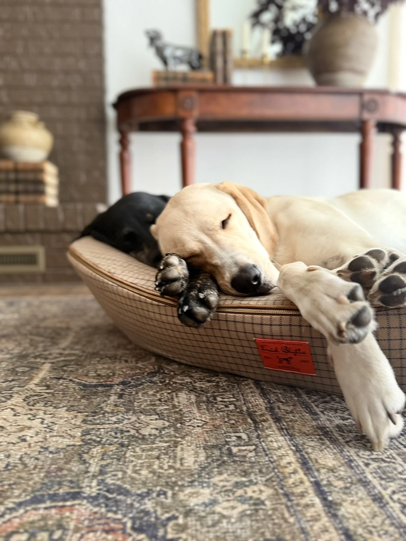 The Enid Blythe Timeless Dog Bed Review: A Luxury Dog Bed Designed for Dogs and Their Homes
