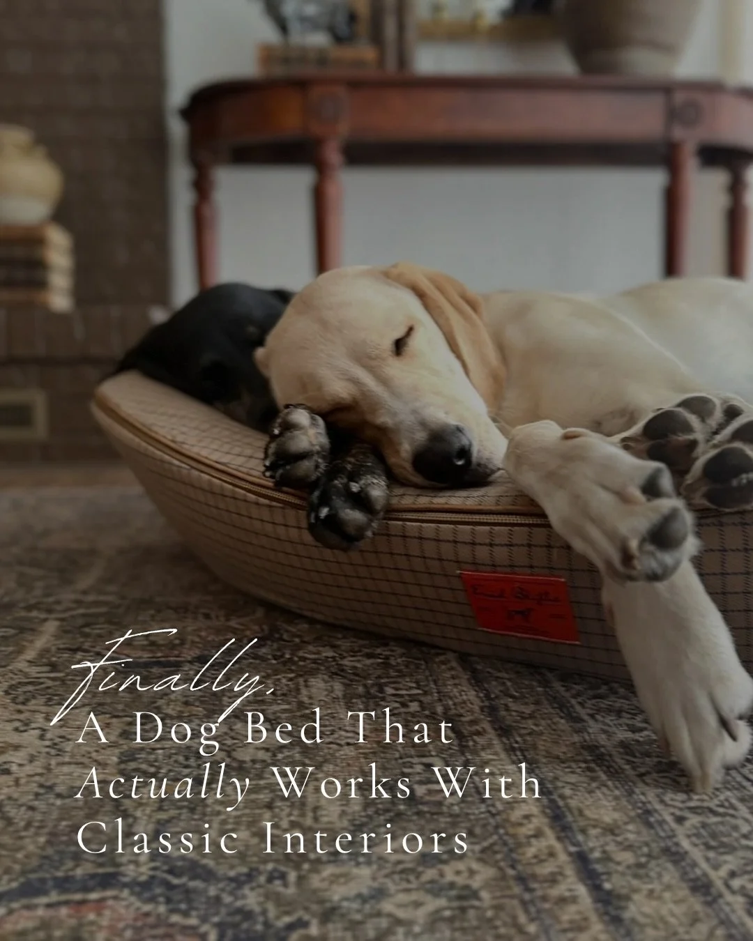 This dog bed was a hit from the beginning, and six months later, it&rsquo;s still a piece we genuinely love. 🤎🐾

➡️ Swipe through for a little puppy photo shoot&mdash;and to see what we love most about the Enid Blythe dog bed! 

This dog bed was or