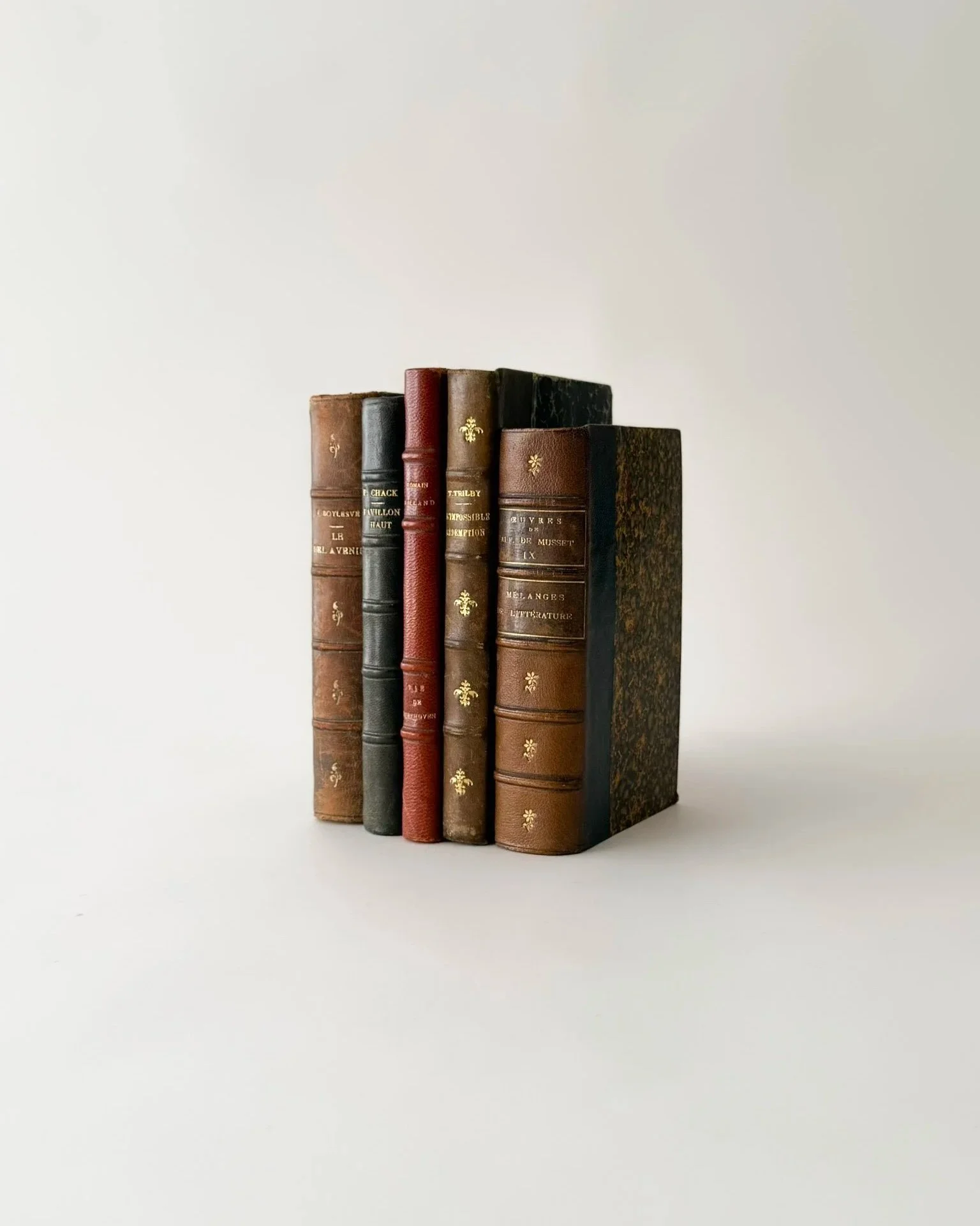 Antique French Leather-Bound Books