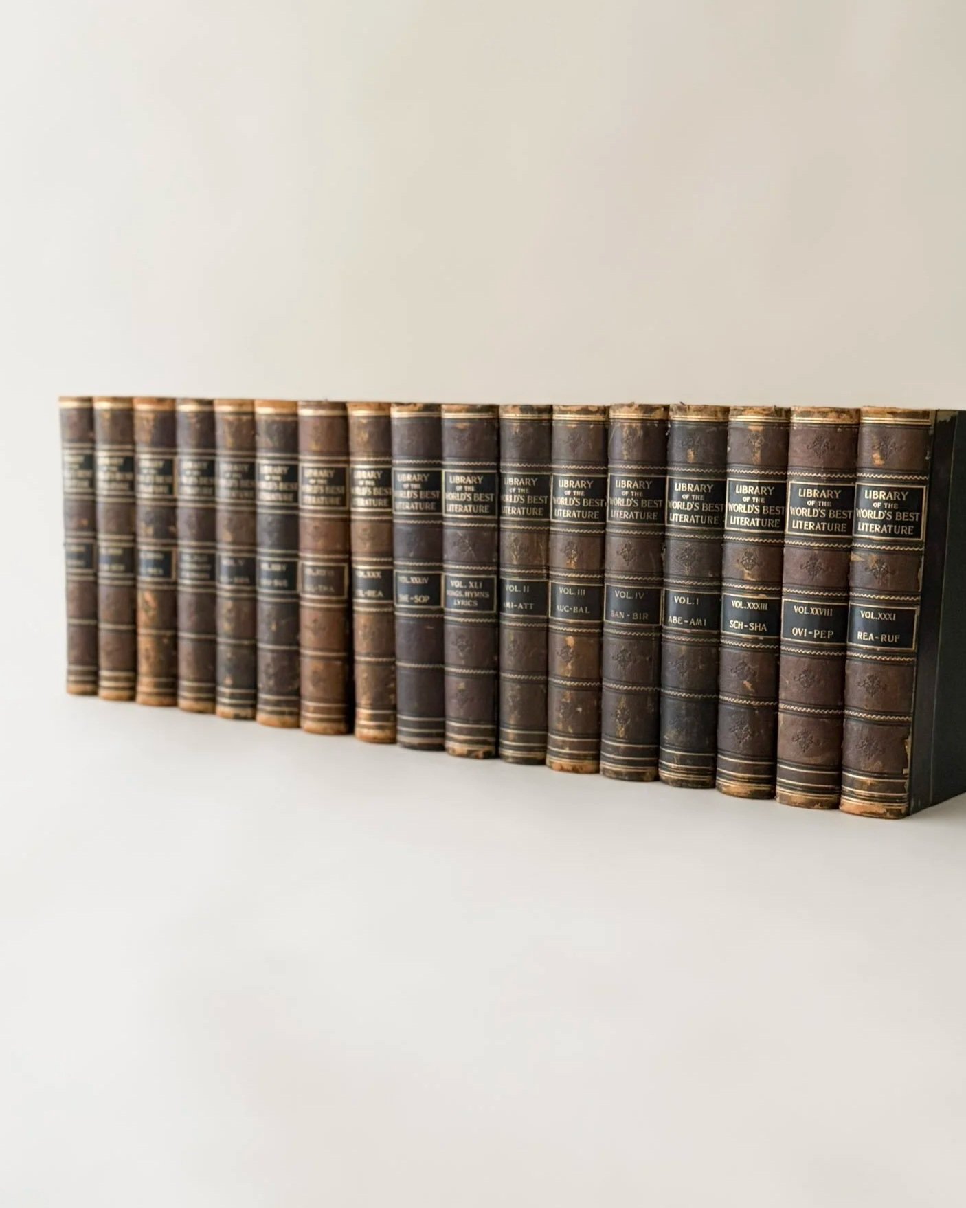 Library of the World's Best Literature