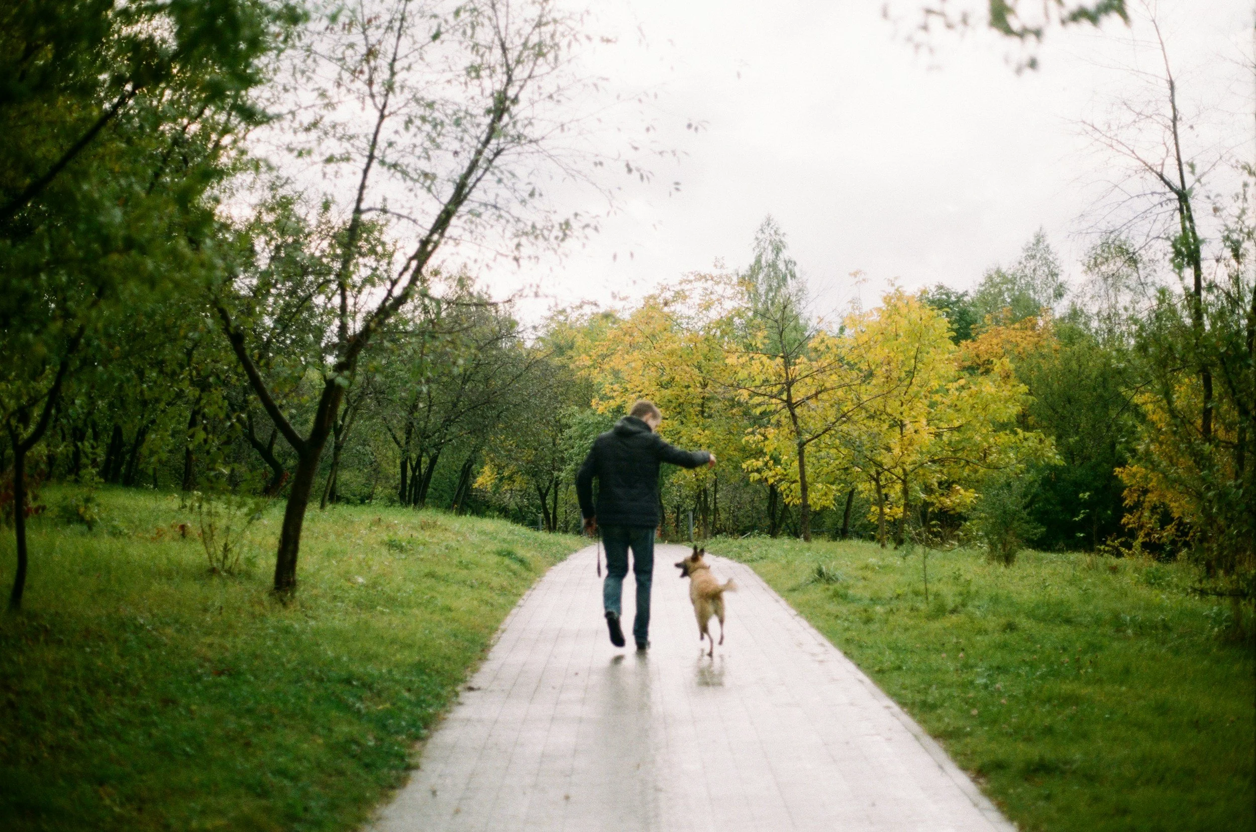 A man walking his dog in a wooded park
