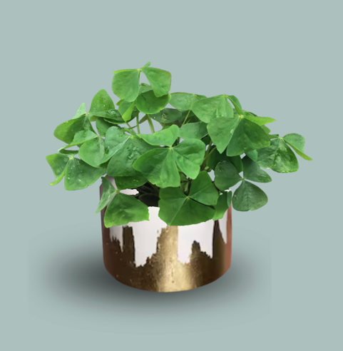 POT OF GOLD WORKSHOP