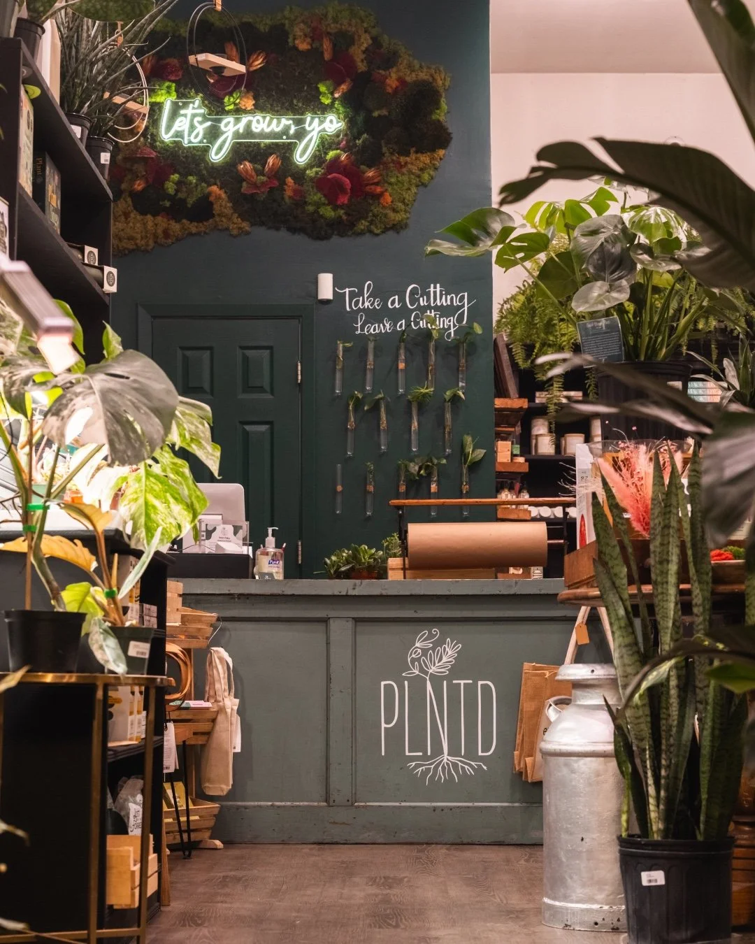 On April 22nd from 7pm, join us to design your very own succulent arrangement using rare and vibrant plants set in a beautiful teakwood bowl, while sipping on cocktails and catching up with pals. 

This event marks the third in our series of partners