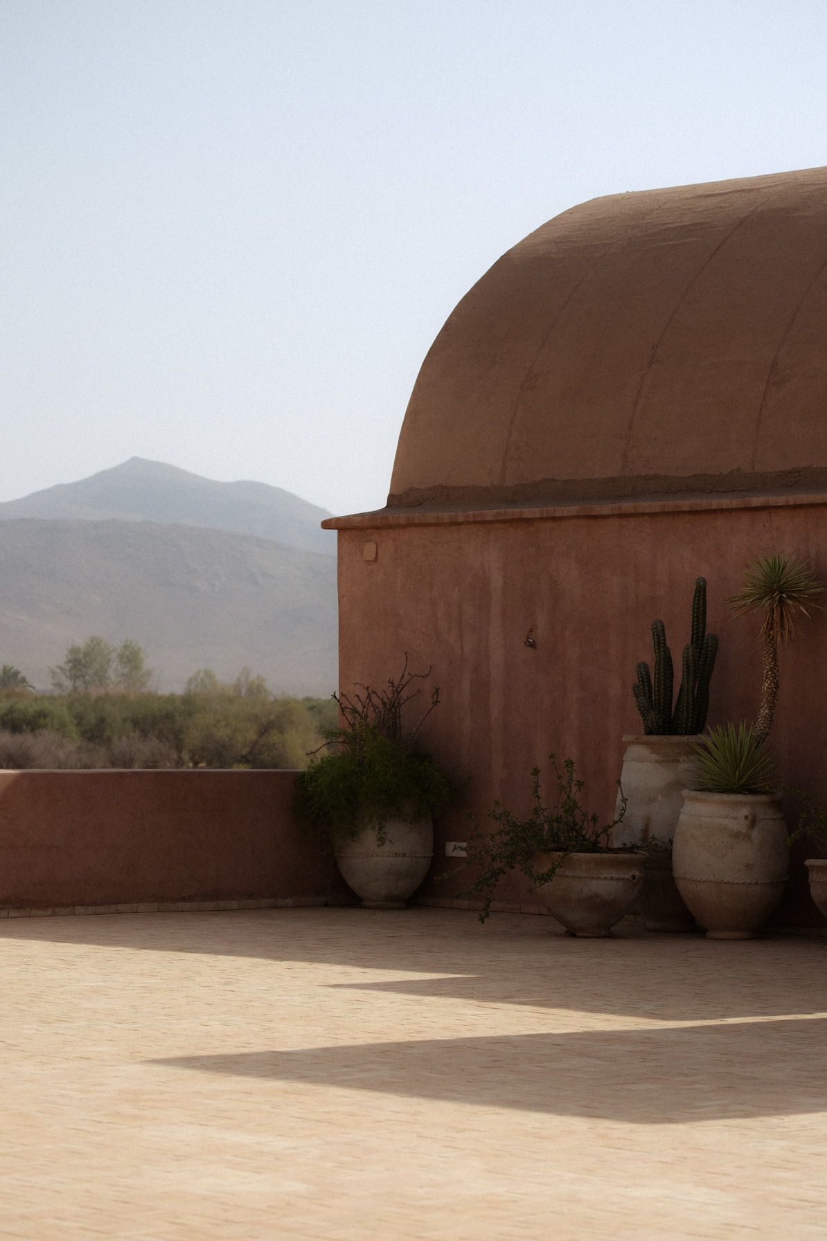 Screenshot 2026-03-12 at 15.46.20.png