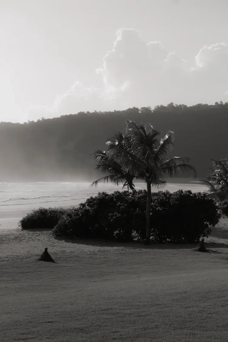 IMG_5071.WEBP