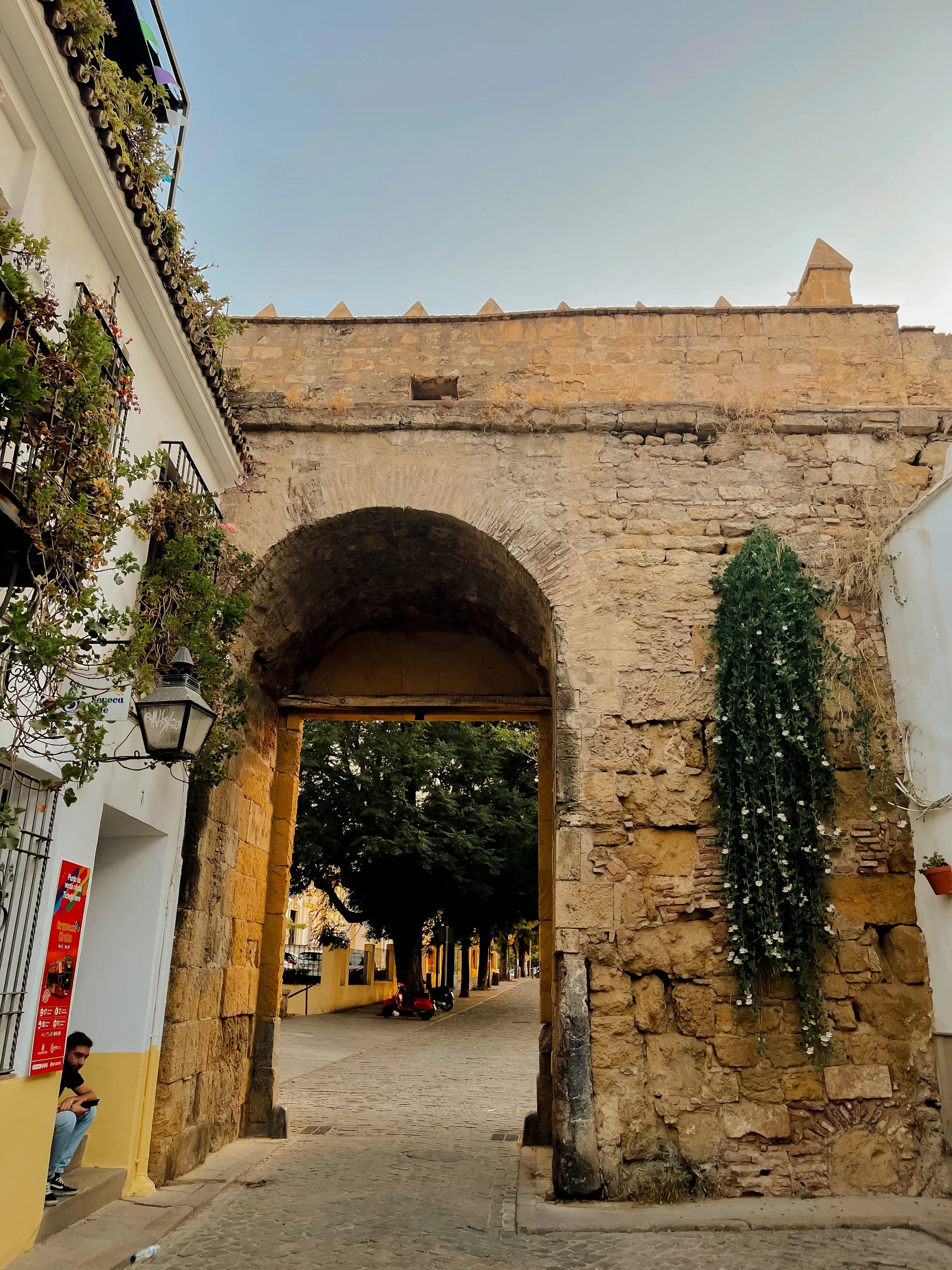 portfolio-26.jpg