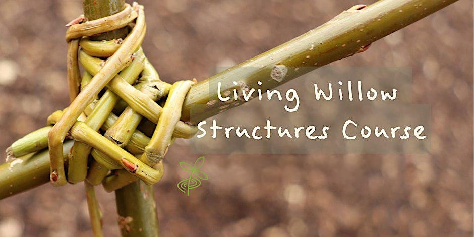 Willow weaving course