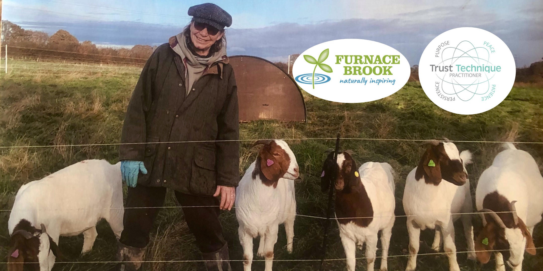 Human - Animal Connection: What is the trust technique?