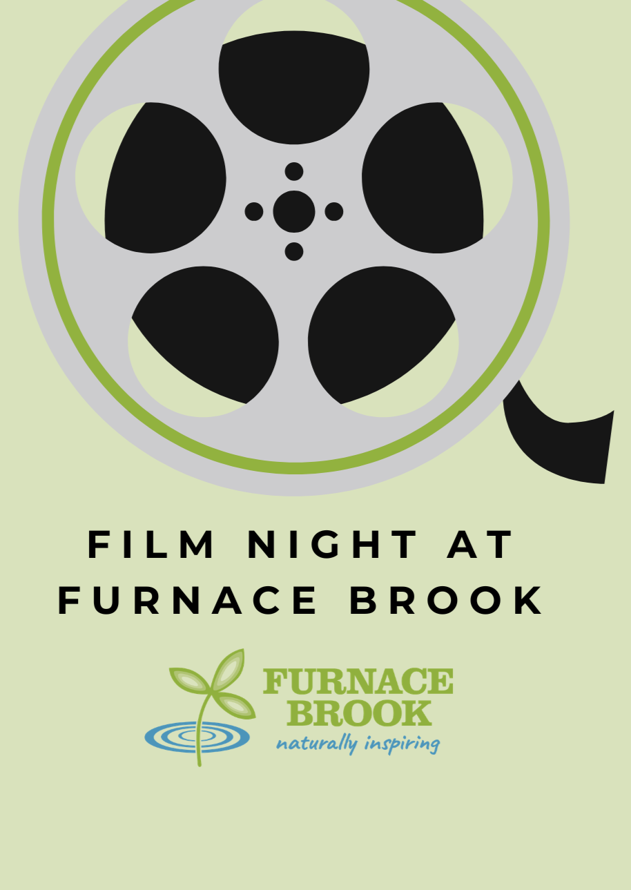 Film Night 