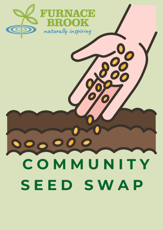 Community Seed Swap