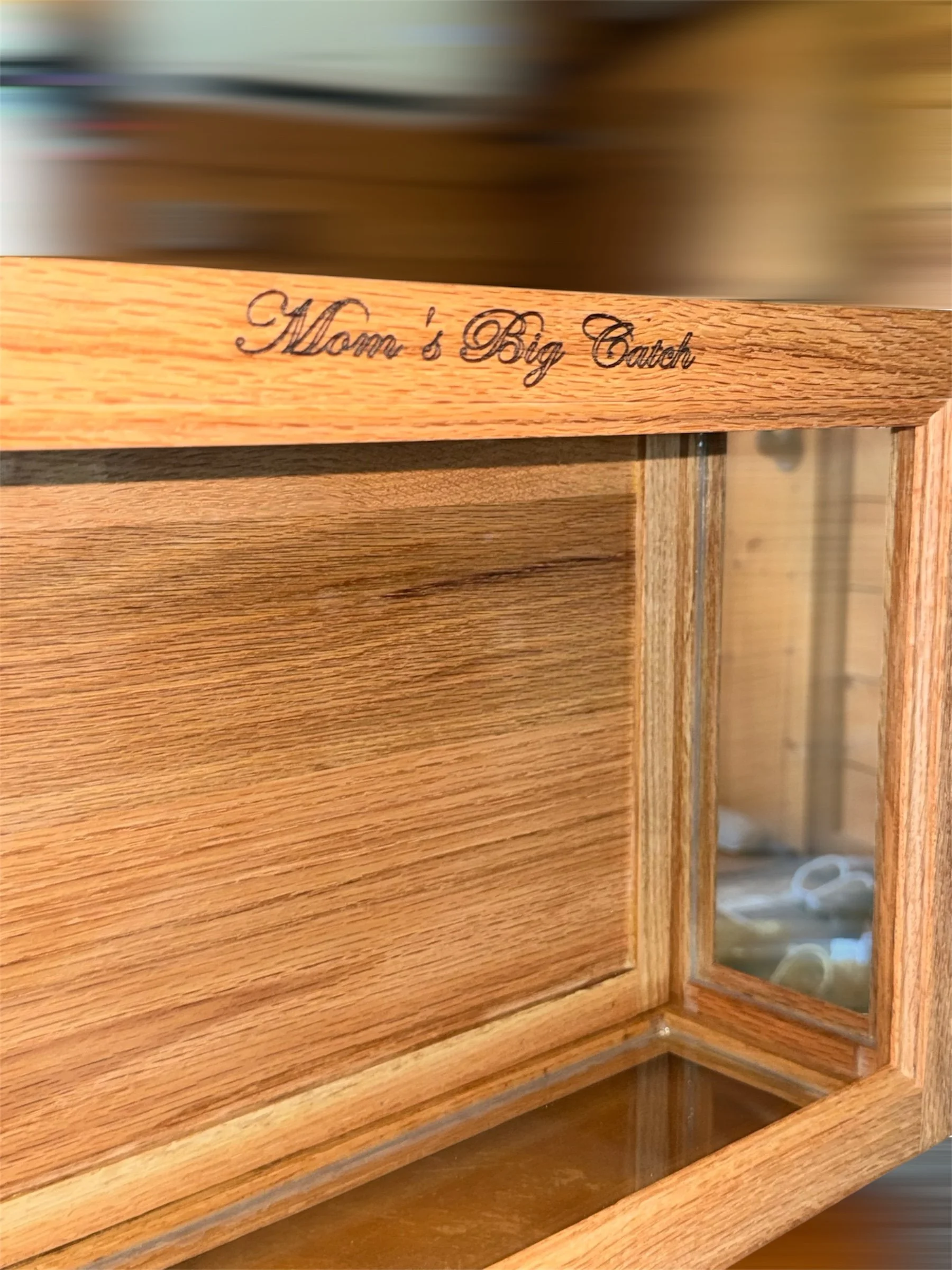 Fish mount display case