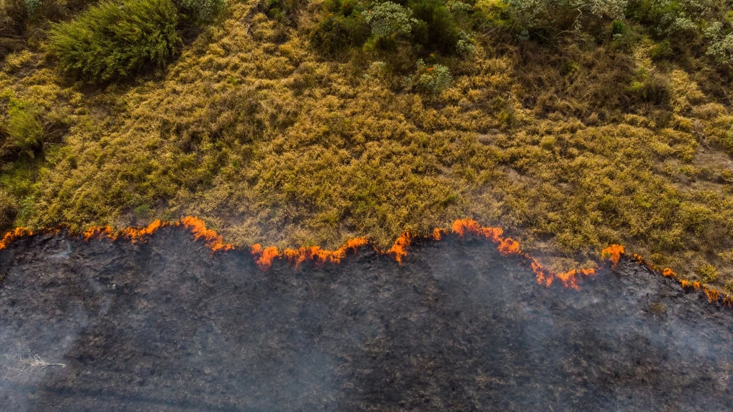 Existence Fund (Copy)