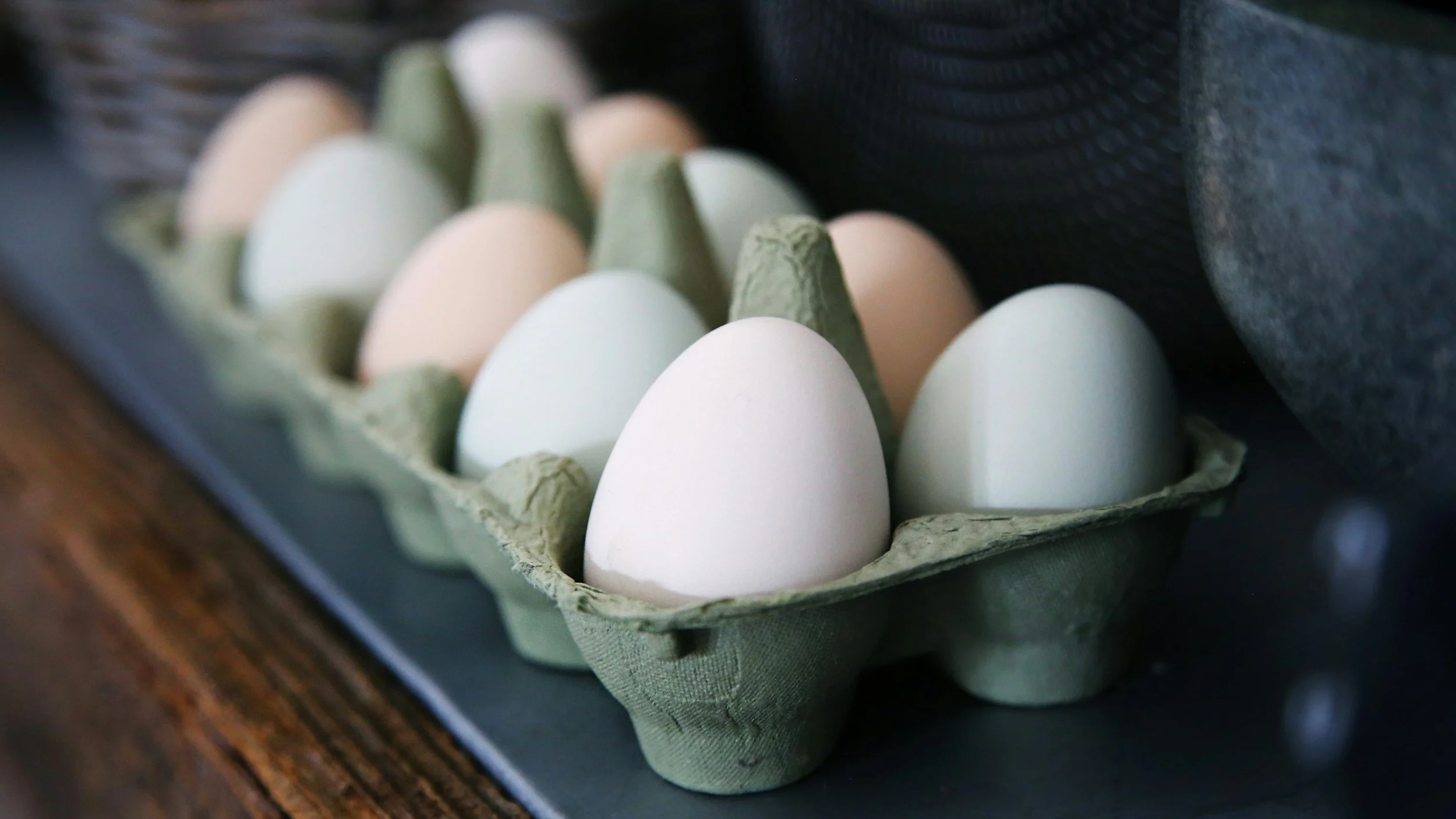 The Power of Protein