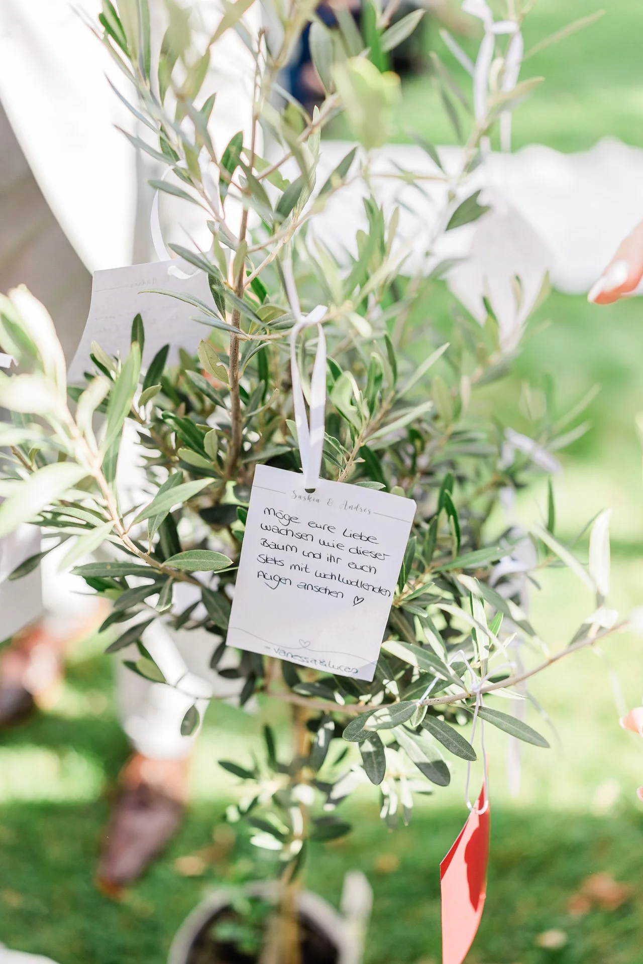 Ritual freie Trauung