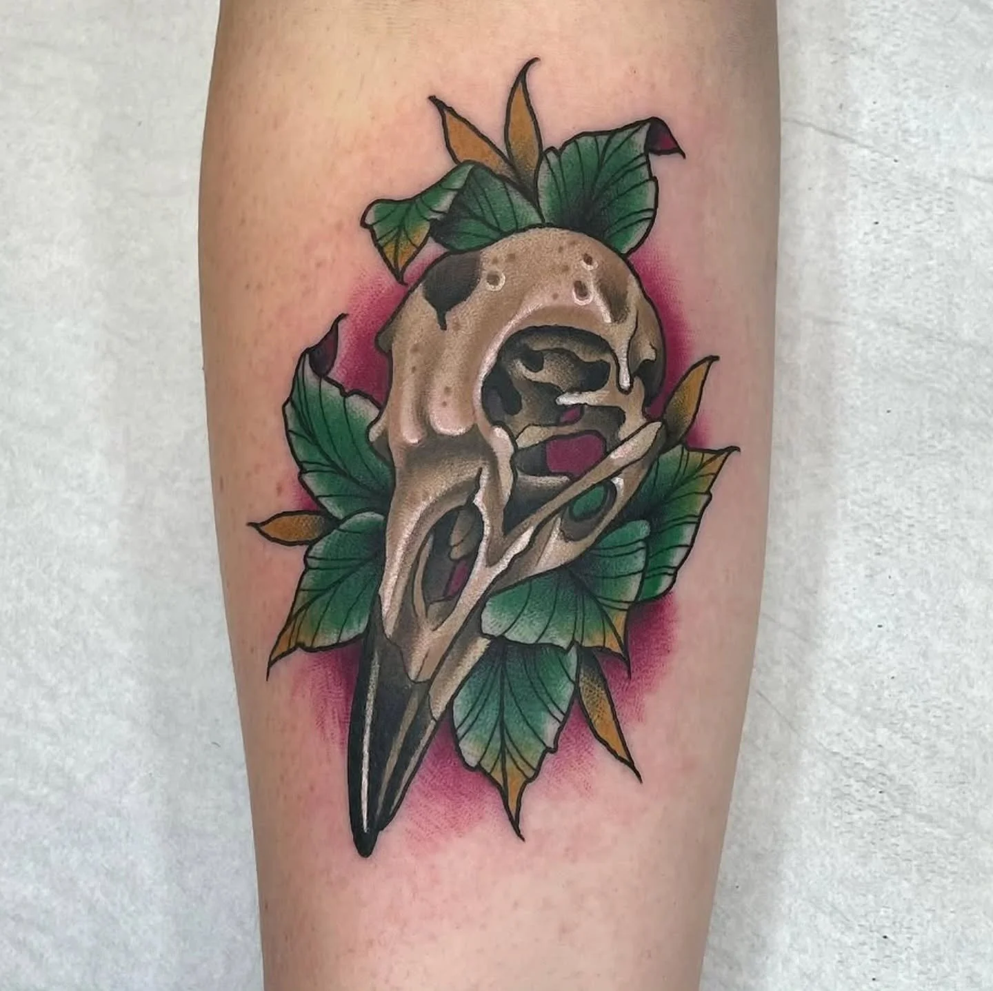 A very cool bird skull by @mikeharpertattoo

If you were to get a skull tattoo what would it be from?  Besides human 💀

#blackgalleon #blackgalleontattoo #mikeharpertattoo #kingslynntattoo #kingslynntattooartists #cheyennetattooequipment #neotradtat