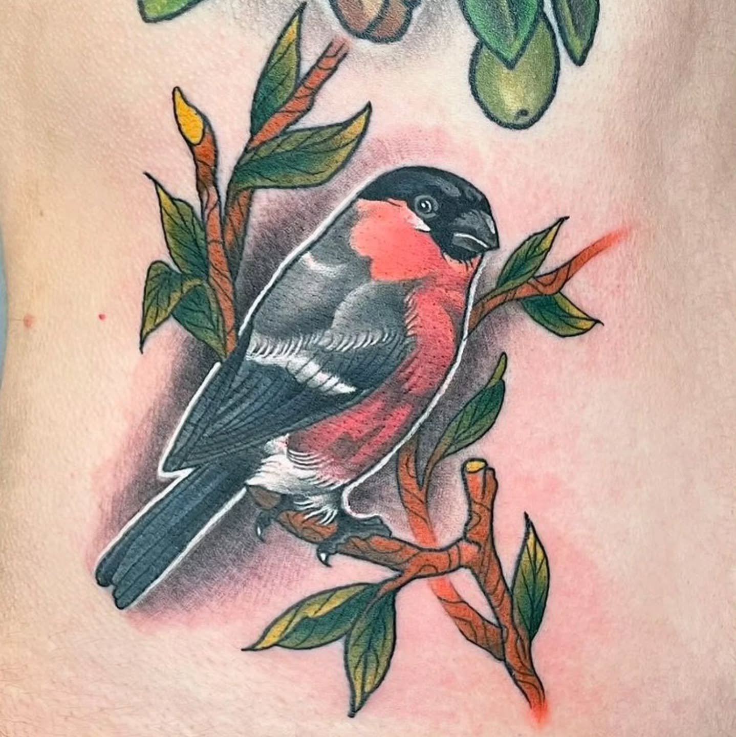 reposted from @mikeharpertattoo

#blackgalleon #blackgalleontattoo #mikeharpertattoo #kingslynntattoo #kingslynntattooartists #bullfinchtattoo #bullfinch